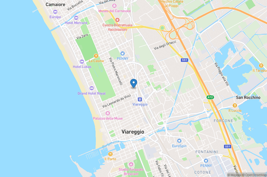 Scuola Leonardo da Vinci Viareggio - Open Street Map